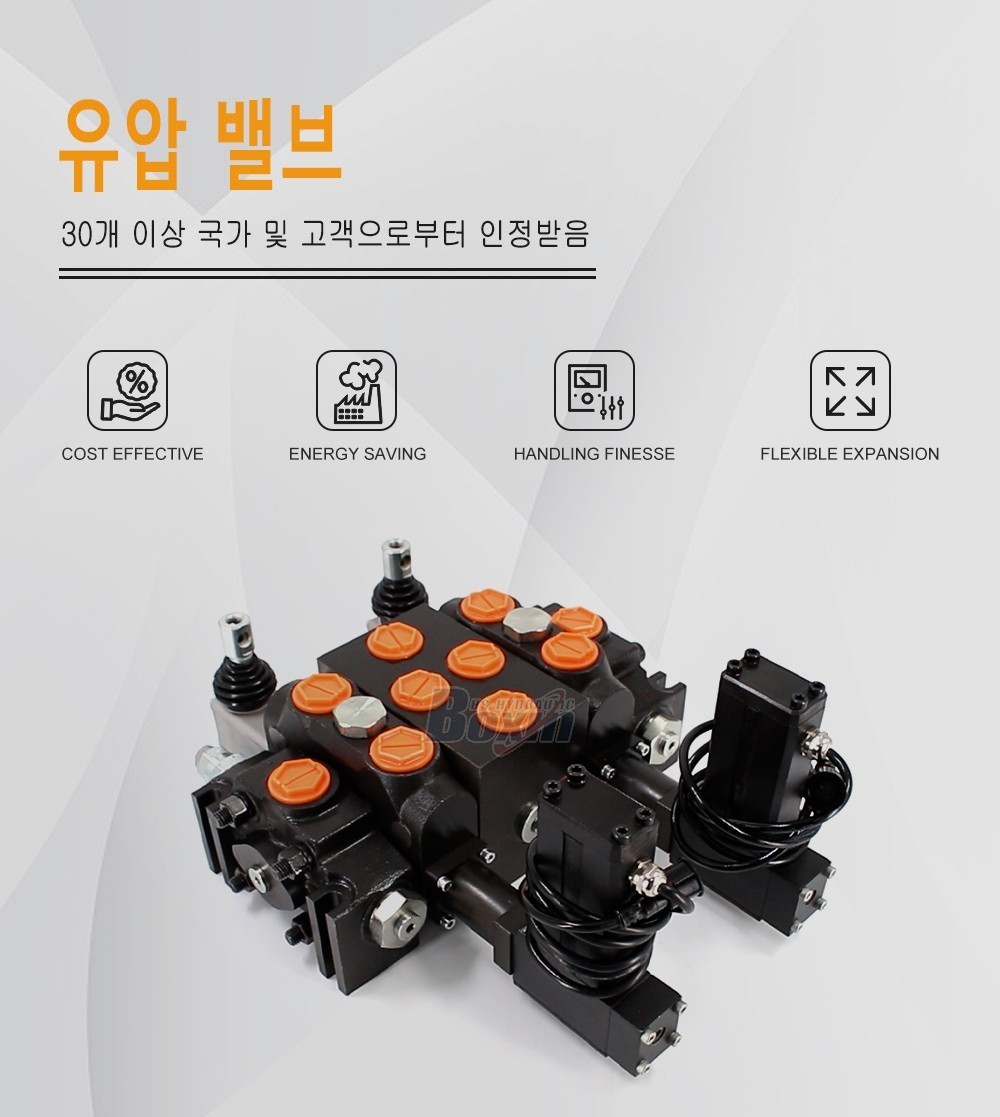 DCV200 전동기 2 스풀 구역 방향 밸브
